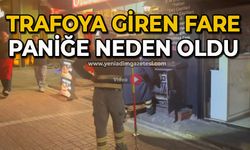Trafoya giren fare paniğe neden oldu