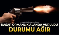 Kasap ormanlık alanda vuruldu: Durumu ağır