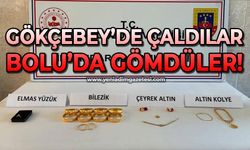 Gökçebey'den çaldılar Bolu'ya gömdüler!