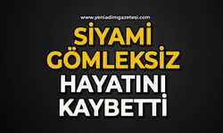 Siyami Gömleksiz hayatını kaybetti