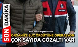 Organize suç örgütüne operasyon: Çok sayıda gözaltı var
