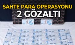 Sahte para operasyonu: 2 gözaltı
