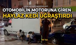 Otomobilin motor kısmına giren haylaz kedi uğraştırdı