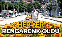 Her yer rengarenk oldu
