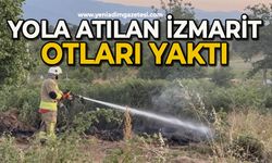 Yola atılan izmarit, otları yaktı
