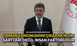 Orman yangınlarını çıkaran iklim şartları değil insan faktörüdür