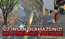 Siz insan olamazsınız! İnsan görünümlü yaratıklar!