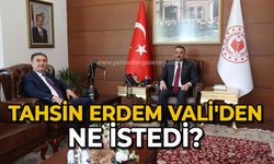 Tahsin Erdem Vali'den ne istedi?