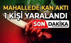 Mahallede kan aktı: 1 yaralı
