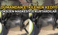 Dumandan etkilenen kediyi oksijen maskesiyle kurtardılar