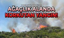 Ağaçlık alanda korkutan yangın