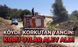 Köyde korkutan yangın: Kuru otlar alev aldı