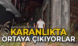 Karanlıkta ortaya çıkıyorlar