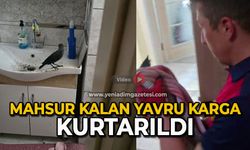 Mahsur kalan yavru karga kurtarıldı