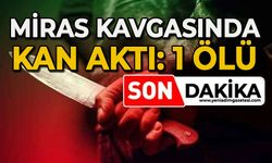 Miras kavgasında kan aktı: 1 ölü