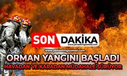 Orman yangını başladı: Havadan ve karadan müdahale sürüyor