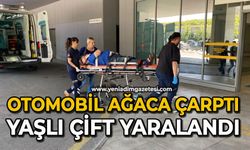 Otomobil ağaca çarptı, yaşlı çift yaralandı