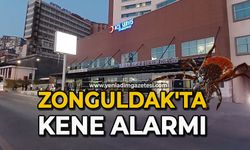 Zonguldak'ta kene alarmı