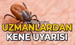 Uzmanlardan kene uyarısı