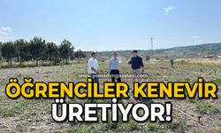 Öğrenciler kenevir üretiyor!
