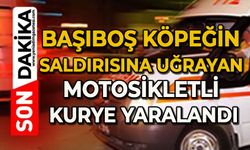 Başıboş köpeğin saldırısına uğrayan motosikletli kurye yaralandı