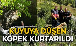 Kuyuya düşen köpek kurtarıldı