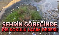 Şehrin göbeğinde pis kokulu lağım deresi!