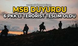 MSB açıkladı:  6 PKK’lı terörist teslim oldu