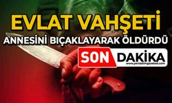 Evlat vahşeti: Annesini defalarca bıçaklayarak öldürdü