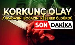 Korkunç olay: Arkadaşını boğazını keserek öldürdü