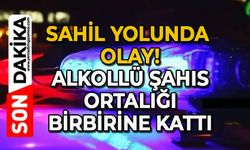 Zonguldak Sahil Yolu karıştı: Alkollü kişi ortalığı birbirine kattı