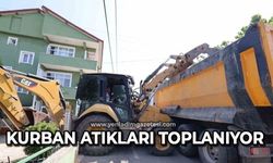 Kurban atıkları toplanıyor