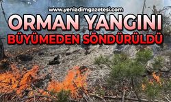Orman yangını büyümeden söndürüldü