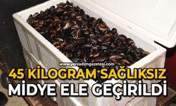 45 kilogram sağlıksız midye ele geçirildi