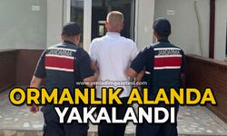 Ormanlık alanda yakalandı