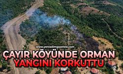 Çayır köyünde orman yangını korkuttu