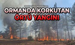 Ormanda korkutan örtü yangını
