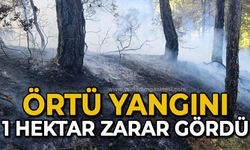 Örtü yangını: 1 hektar zarar gördü