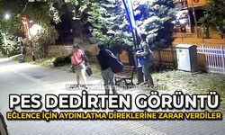Pes dedirten görüntü: Eğlence için aydınlatma direklerine binlerce liralık zarar verildi