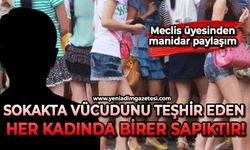 Meclis üyesinden manidar paylaşım: Sokakta vücudunu teşhir eden her kadında birer sapıktır!