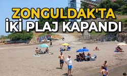 Zonguldak'ta iki plaj kapandı