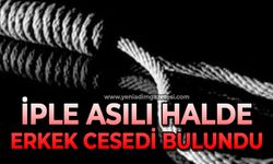 Ağaca asılı halde erkek cesedi bulundu