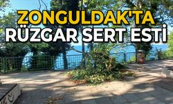 Zonguldak'ta rüzgar sert esti