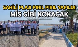 Sahili plajı pırıl pırıl yapıldı mis gibi kokacak