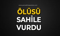 Ölüsü sahile vurdu