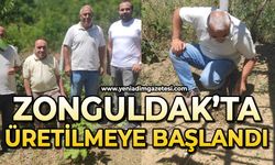 Zonguldak'ta üretilmeye başlandı
