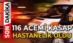 116 acemi kasap hastanelik oldu