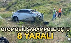Otomobil şarampole uçtu: 8 yaralı