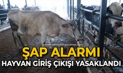Şap alarmı hayvan giriş çıkışı yasaklandı