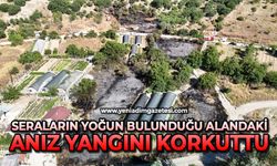 Seraların yoğun bulunduğu alandaki anız yangını korkuttu